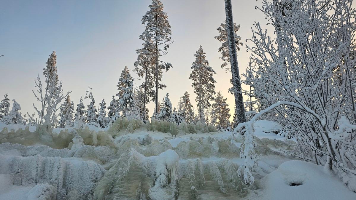 Hyvin suunnitellut tutkimukset voidaan toteuttaa vuodenajasta riippumatta.